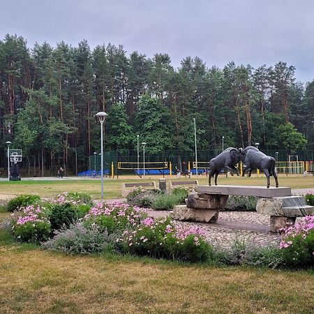 Chalet Villa Rex Друскининкай Екстериор снимка