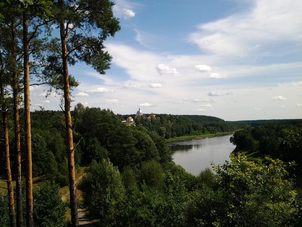 Chalet Villa Rex Друскининкай Екстериор снимка