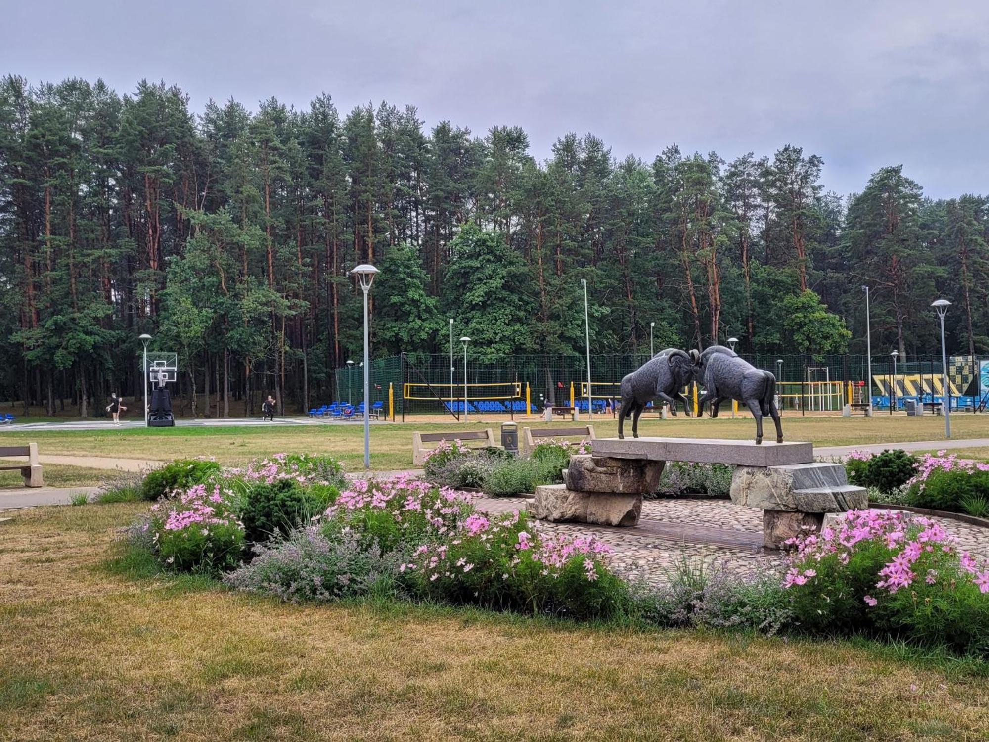 Chalet Villa Rex Друскининкай Екстериор снимка