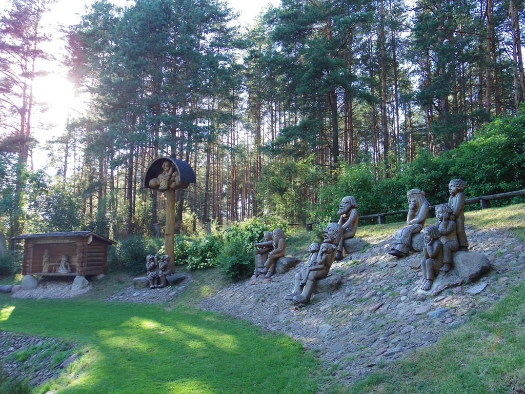 Chalet Villa Rex Друскининкай Екстериор снимка